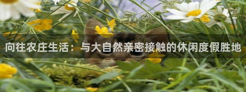 天辰娱乐注册登录