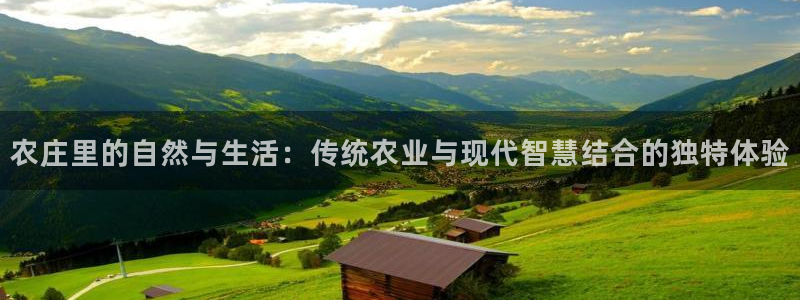 天辰娱乐娱乐平台