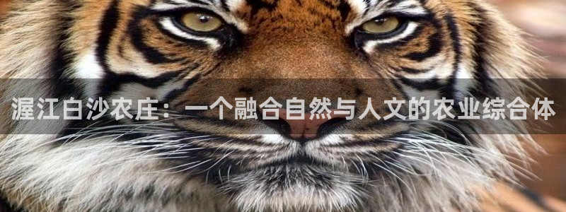 天辰娱乐平台注册