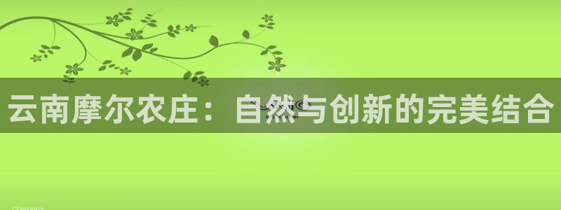 天辰娱乐平台入口