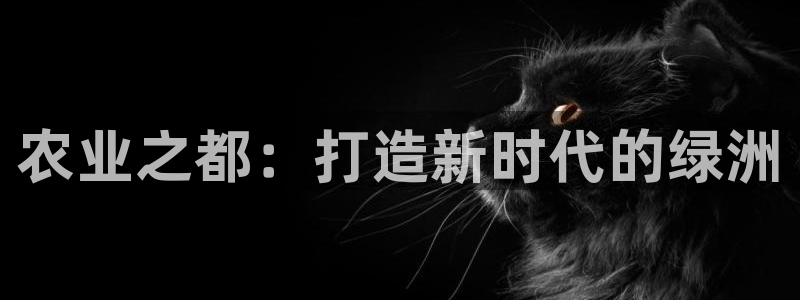 天辰娱乐网址娱乐游戏