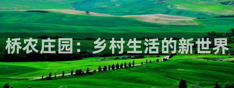 天辰娱乐怎么样