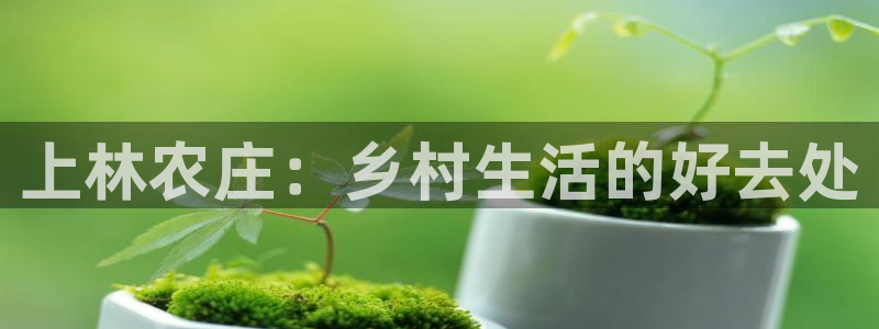 天辰娱乐跑的快