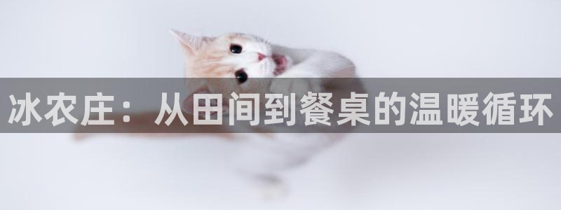 天辰娱乐登陆平台