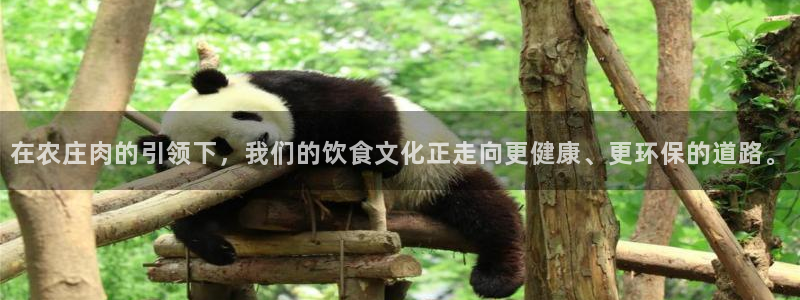 天辰娱乐的网址首页