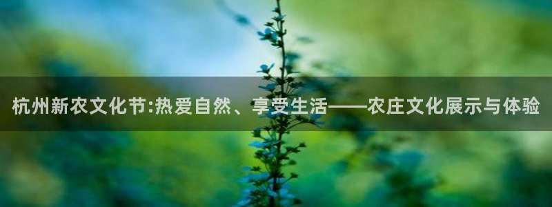 广东天辰娱乐
