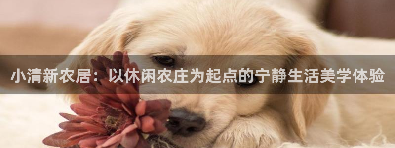 北京天辰娱乐
