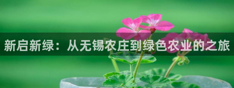 天辰娱乐天辰宝