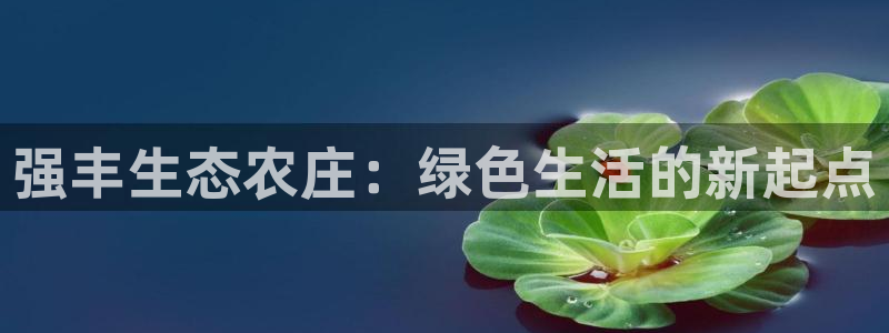 天辰娱乐885544