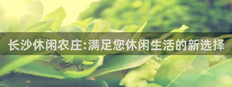 天辰娱乐元宝