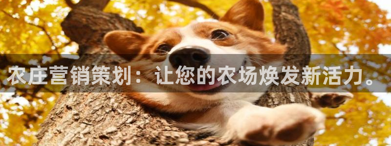 天辰娱乐885544