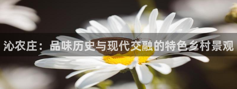 天辰娱乐挂机