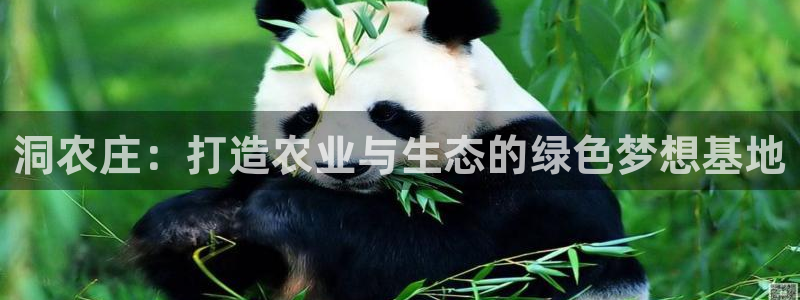 天辰娱乐说