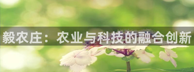 天辰娱乐天辰注册登录