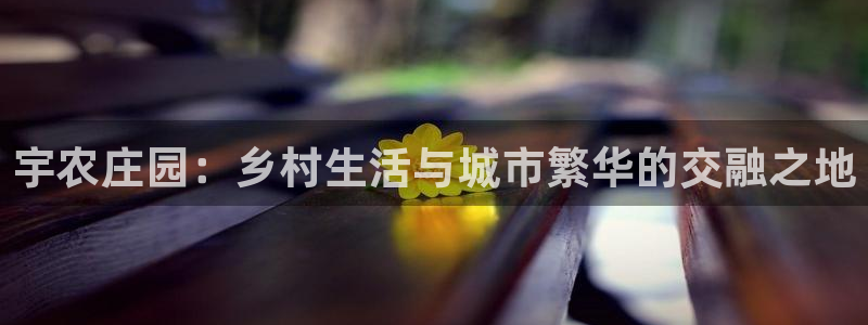 天辰娱乐线路
