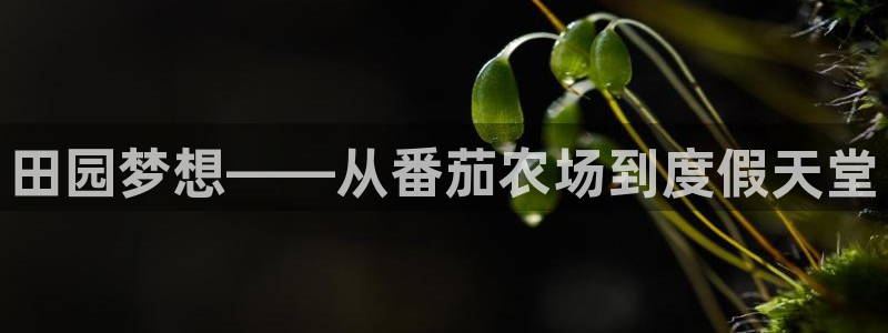 天辰娱乐文化